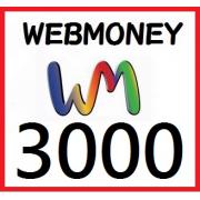 日本webmoney 3000點 代收代付【24小時自動發卡】